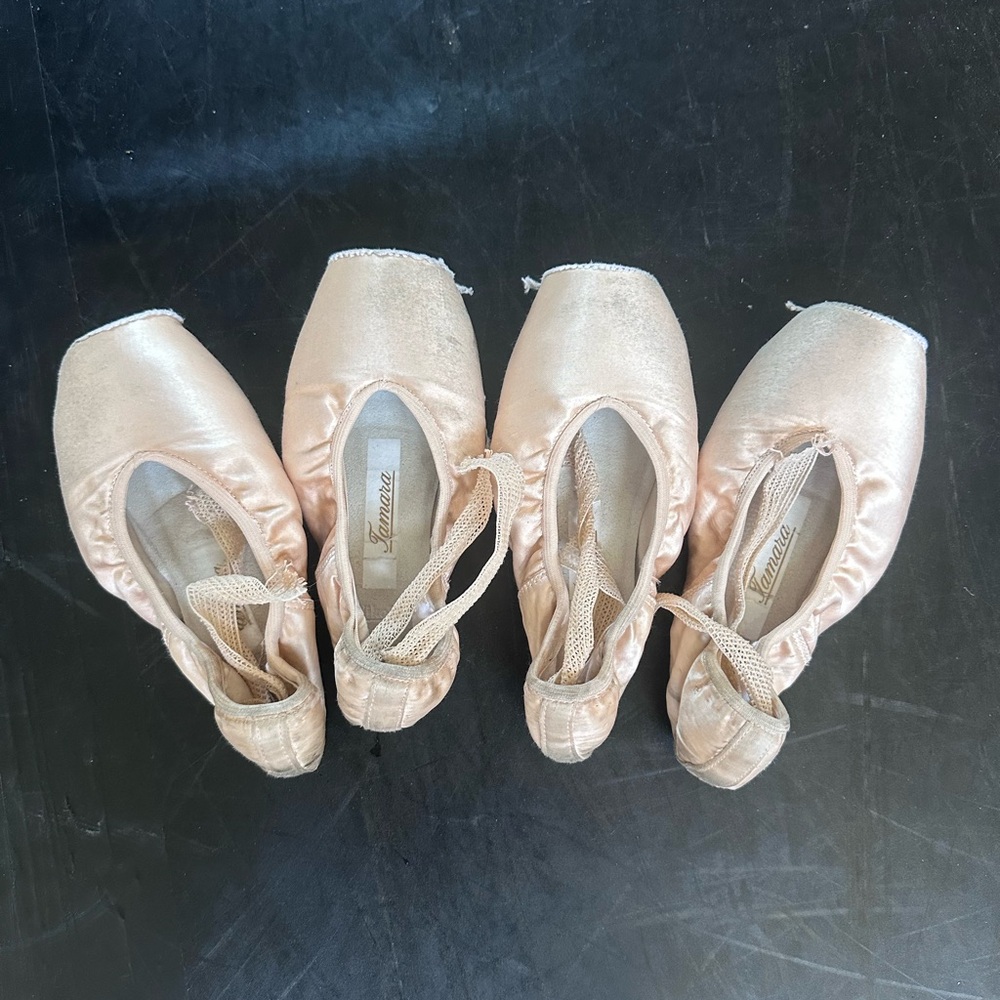 Tamara Pink Ballet Pointe Shoes